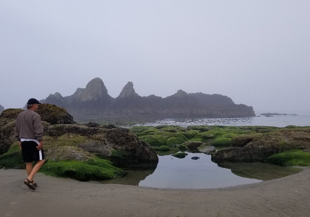 Seal Rock State Park景点图片