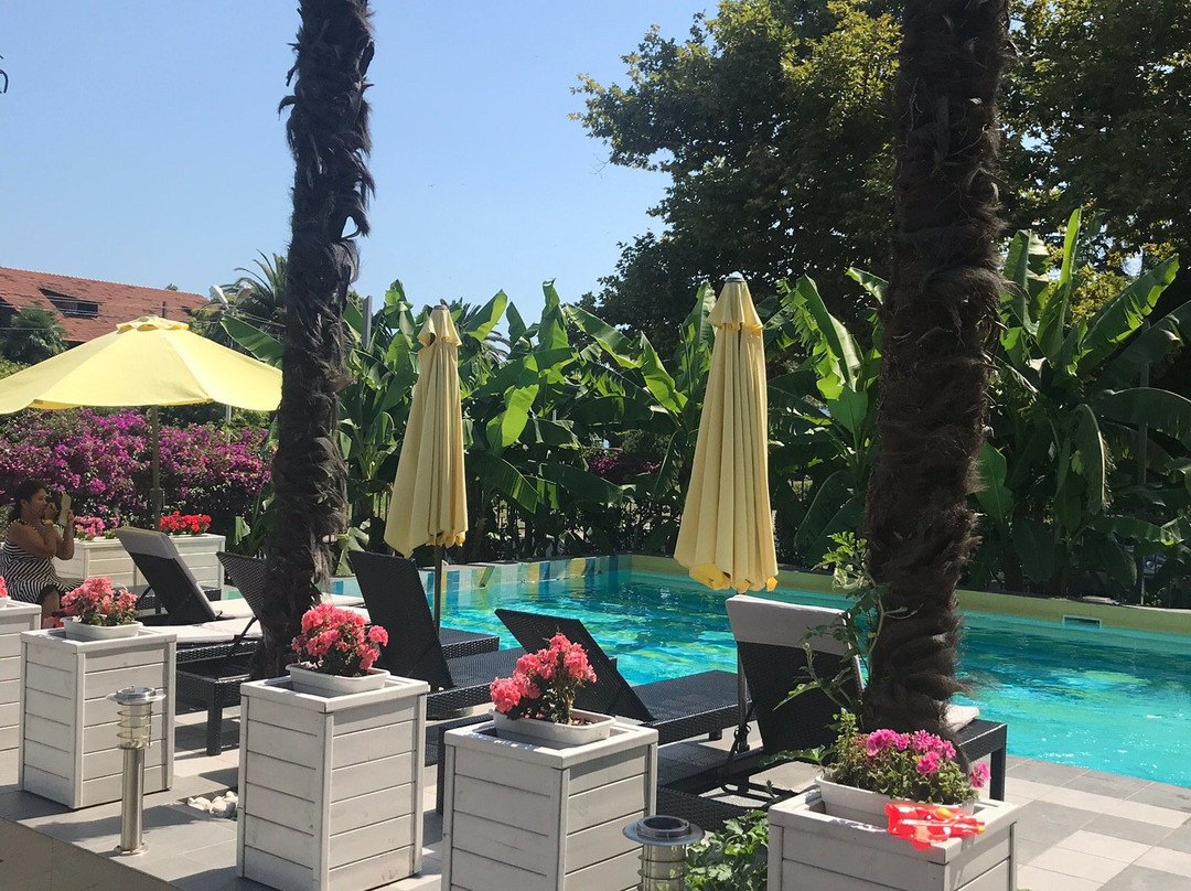 Sunrise Garden Hotel主图