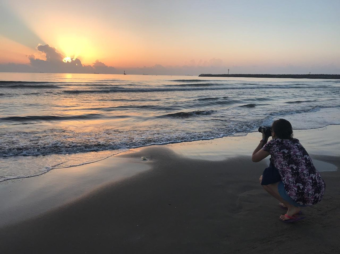 Playa de Tuxpan景点图片