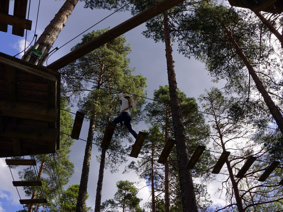 Klatreskogen Grand Park-Hornnes必去景点