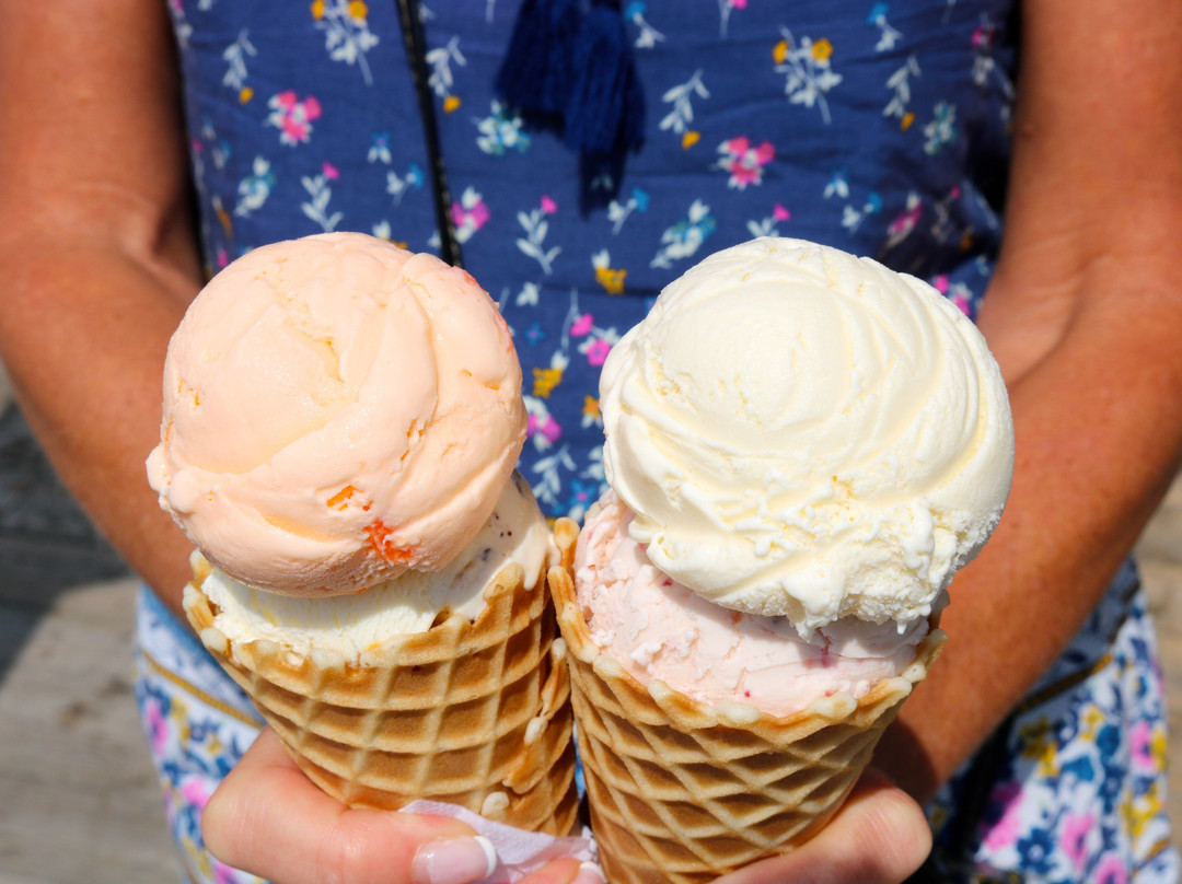 COWS Creamery Tours景点图片