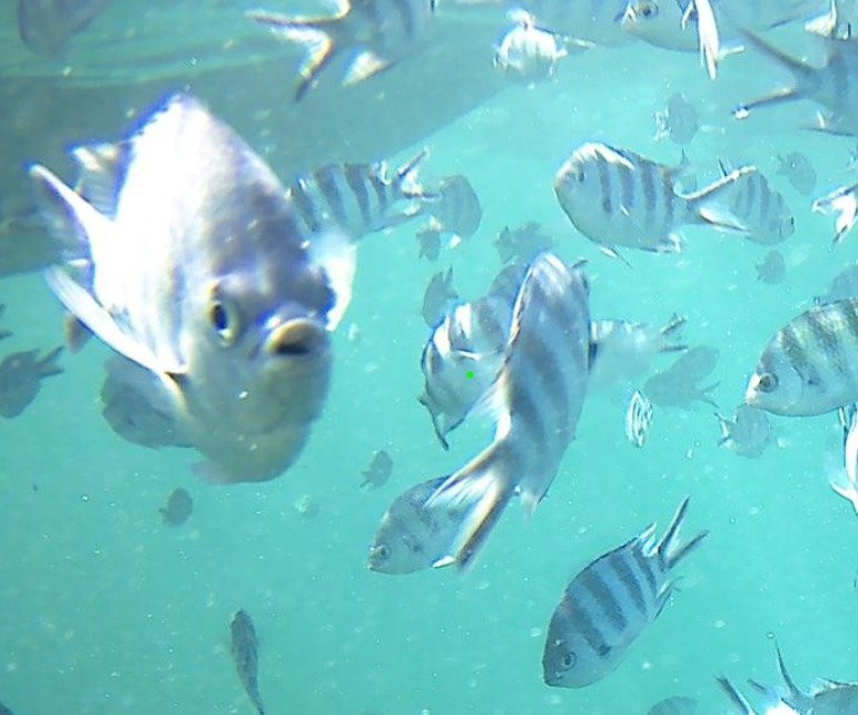 Isa Mauritius-格兰高伯必去景点