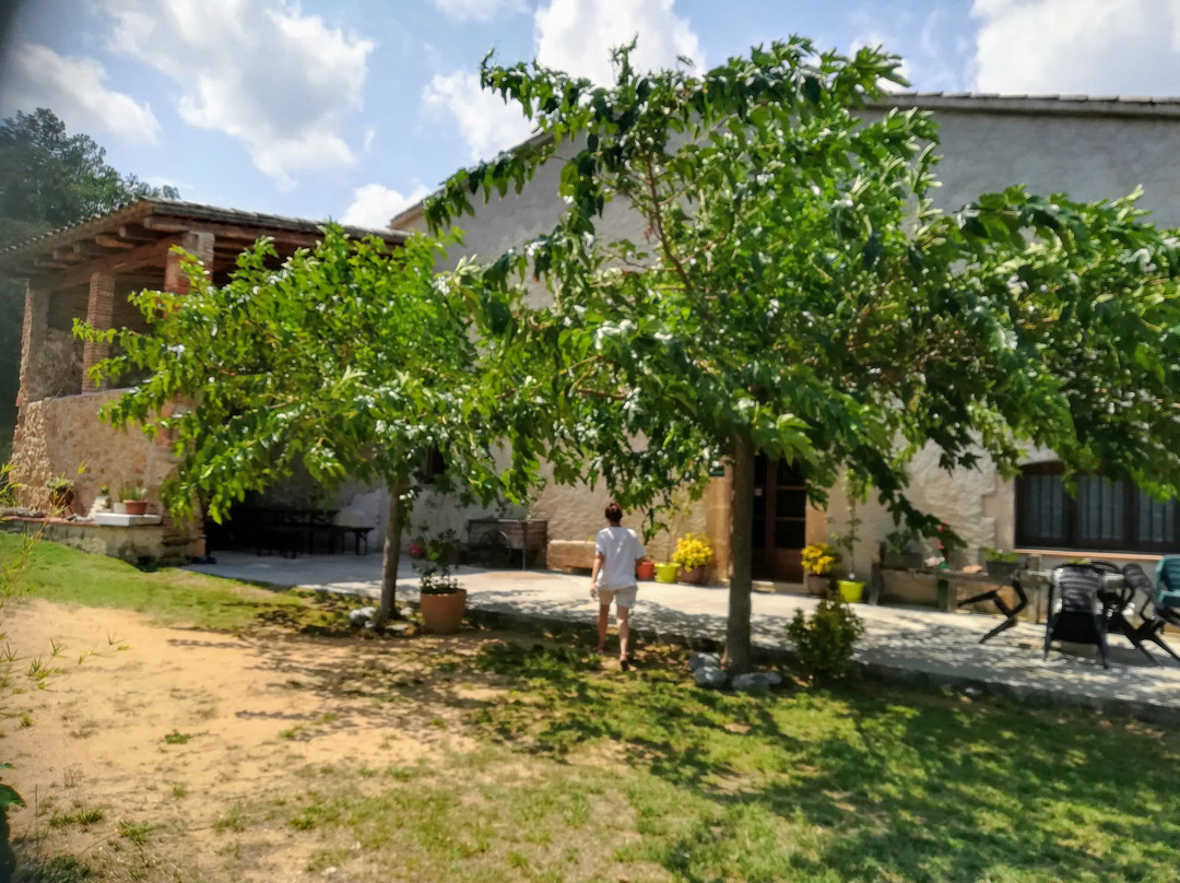 Casa Rural Can Miquel主图