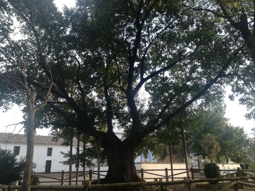 Ermita de Nuestra Senora de Belen-Cabeza del Buey必去景点