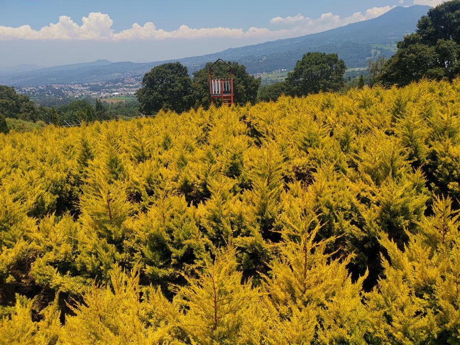 Rancho Magico-墨西哥城必去景点