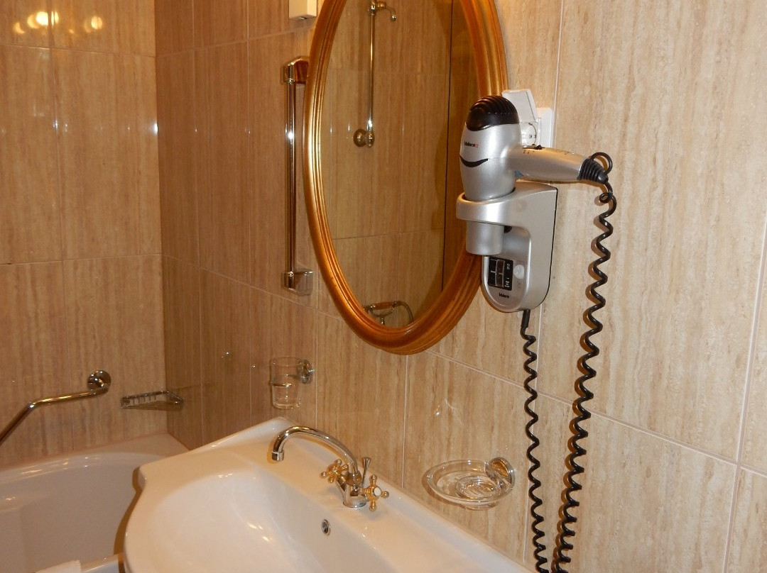 Grand Hotel Toplice主图