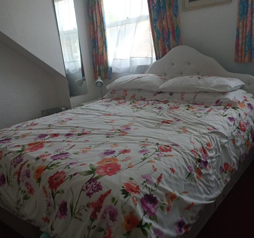 El Tabora Guest House主图