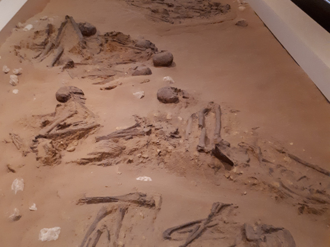 Sharjah Archaeology Museum-沙迦必去景点