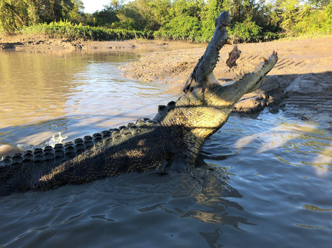 Offroad Dreaming-达尔文市必去景点