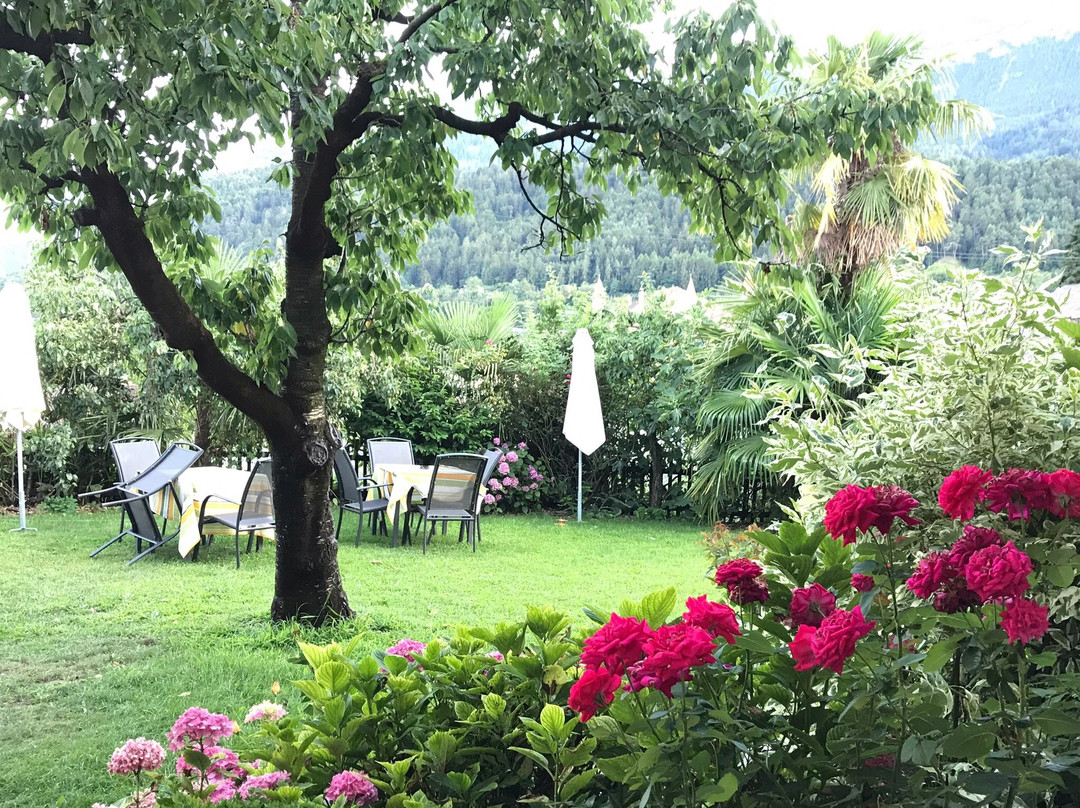 Pension Felsenegg主图