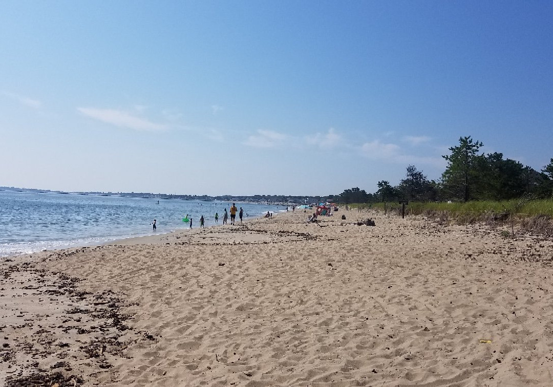 Ferry Beach State Park景点图片