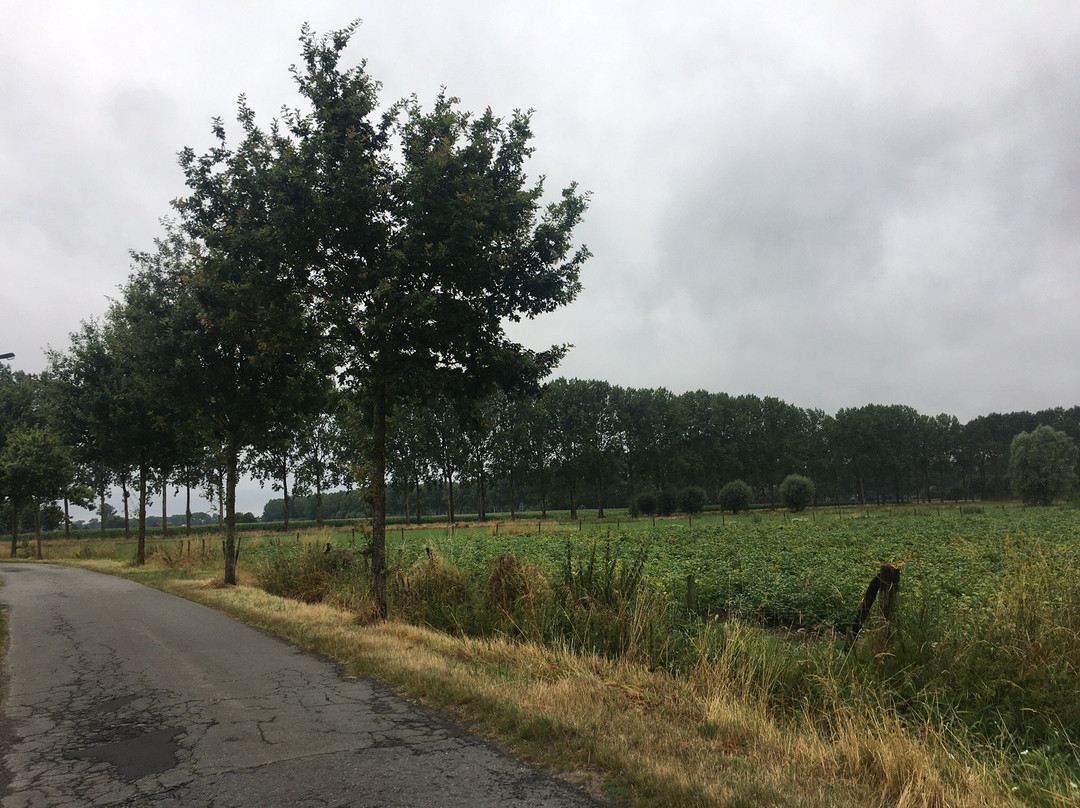 B&B De Weide Wereld主图