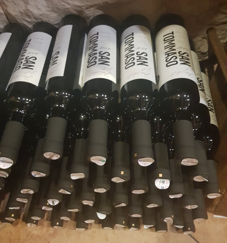 Winery San Tommaso-Bale必去景点