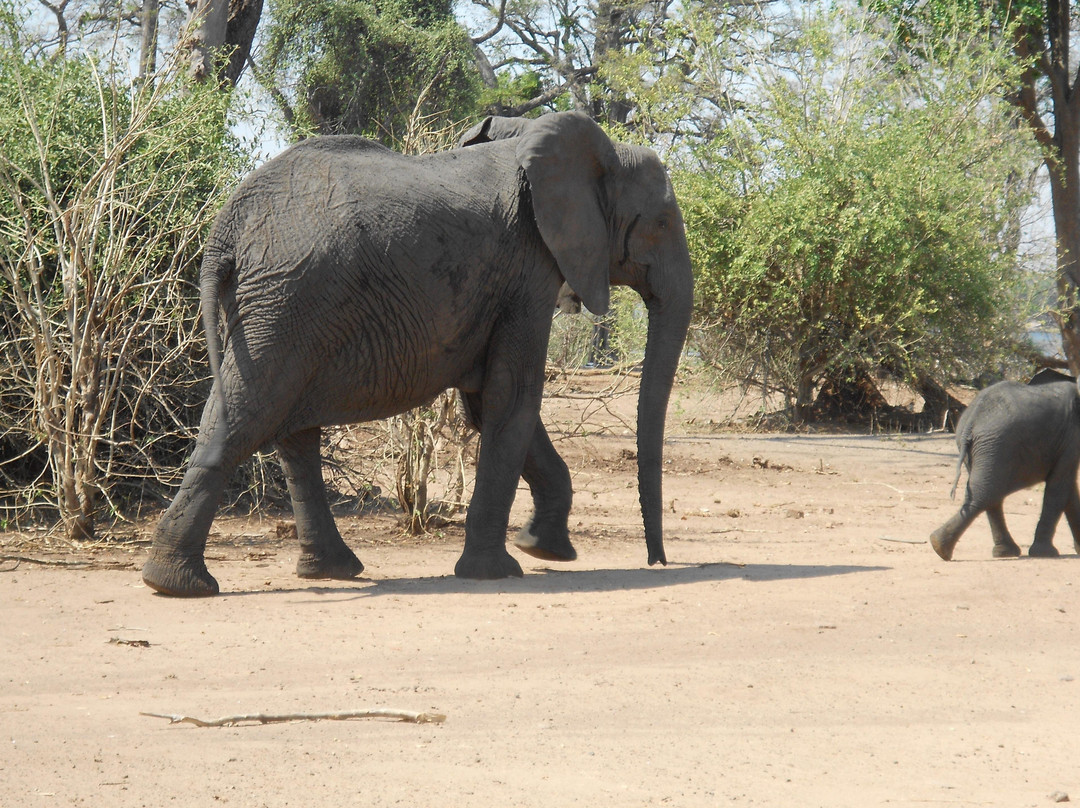 Wings & Tracks African Safaris-维多利亚瀑布必去景点