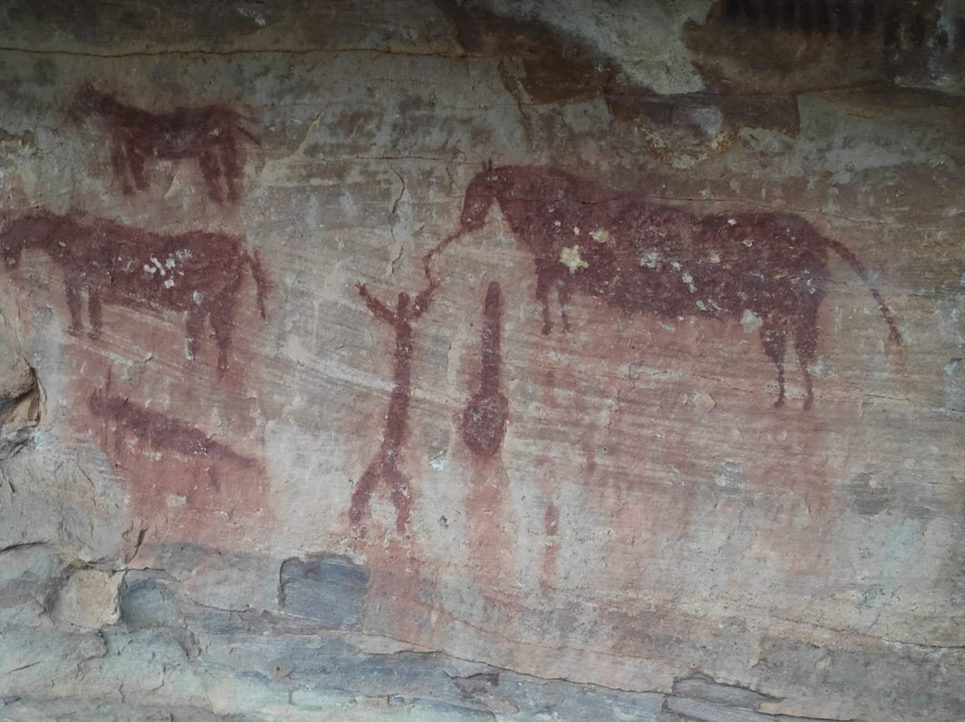 Selva Pascuala景点图片
