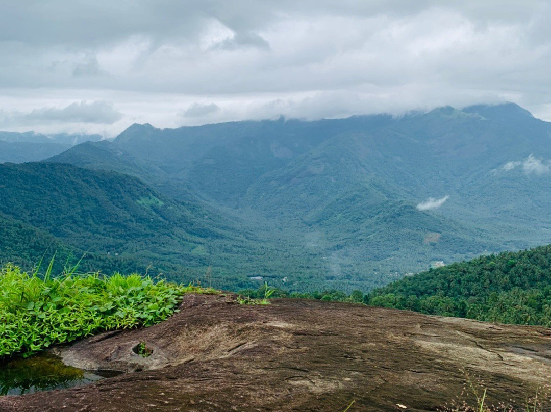 Vayalada View Point景点图片