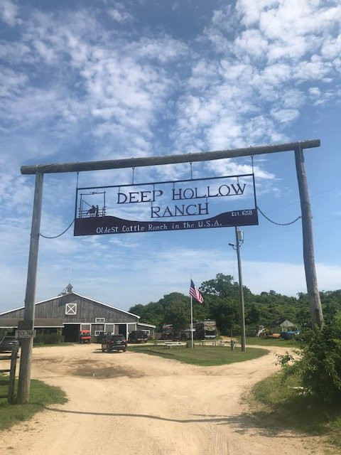 Deep Hollow Ranch-蒙托克必去景点