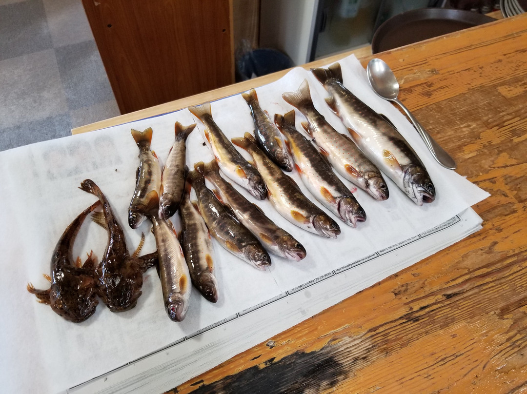 Mori no Fukuro主图