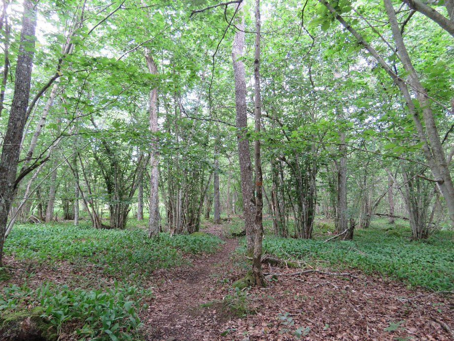 Garphyttans Nationalpark-厄勒布鲁必去景点