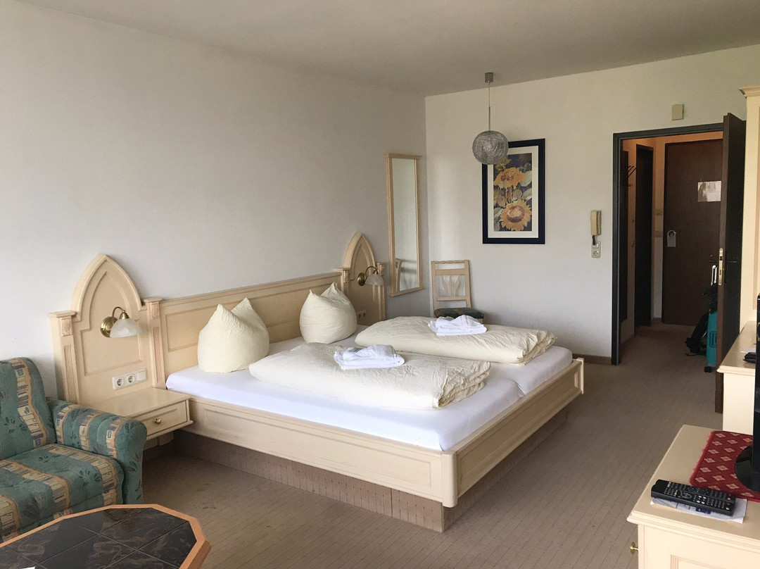 Alpenhotel Dachstein主图