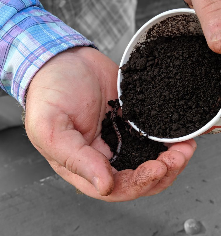 Shawnee Expeditions-Carbondale必去景点