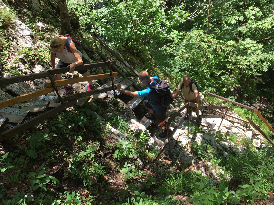 Tscheppaschlucht-Ferlach必去景点