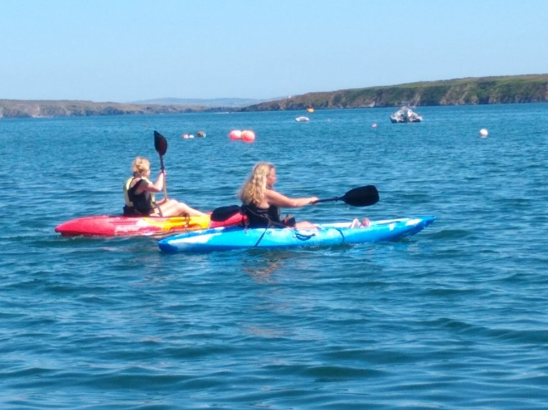 Schull Sea Safari-Schull必去景点