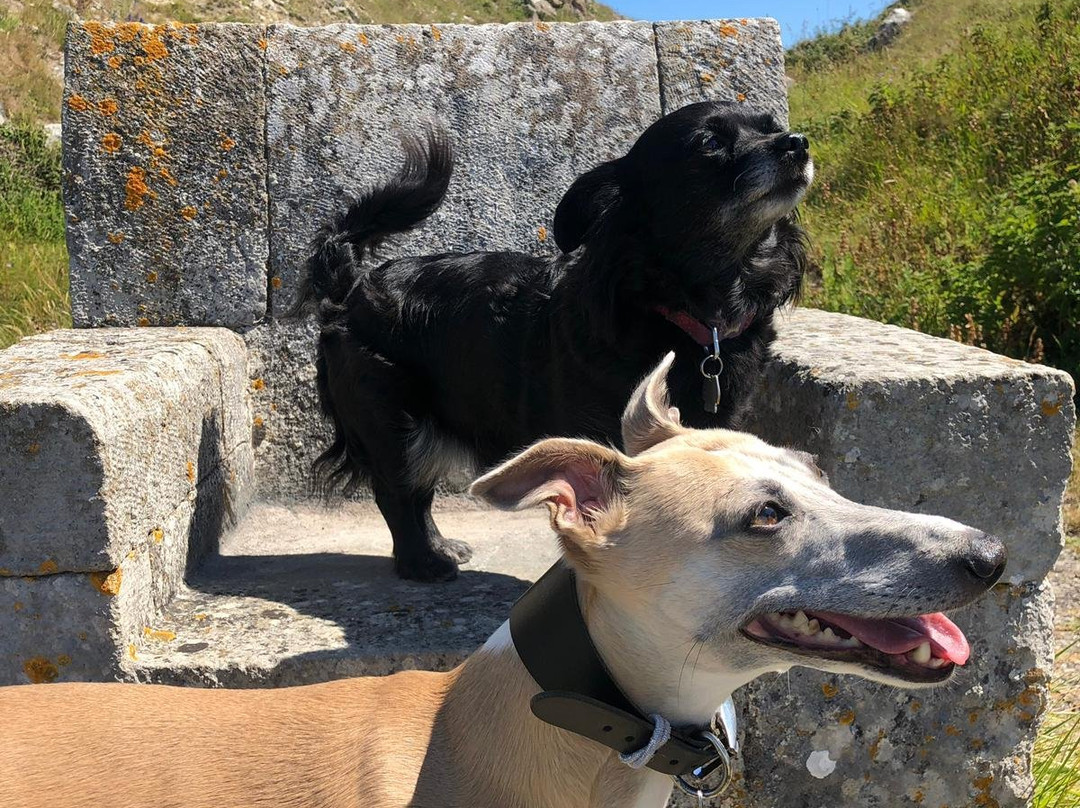 Portland Sculpture and Quarry Trust-Isle of Portland必去景点