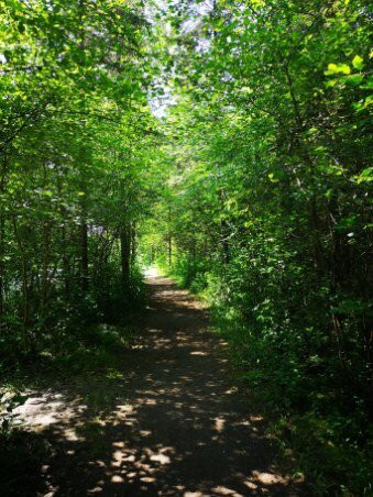 Valens Conservation Area-汉密尔顿必去景点