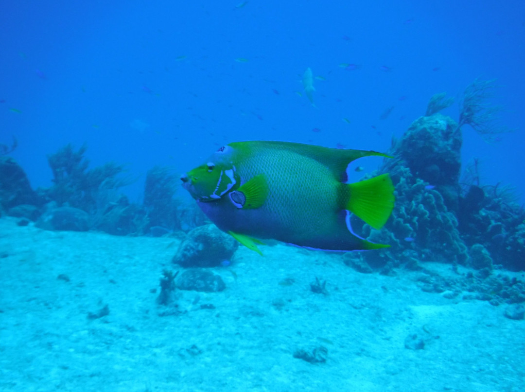 Paradise (Paraiso) Reef-考祖梅必去景点