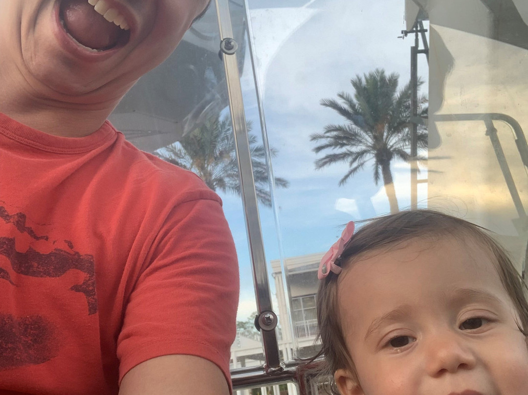 Wharf Ferris Wheel-橙色海湾必去景点