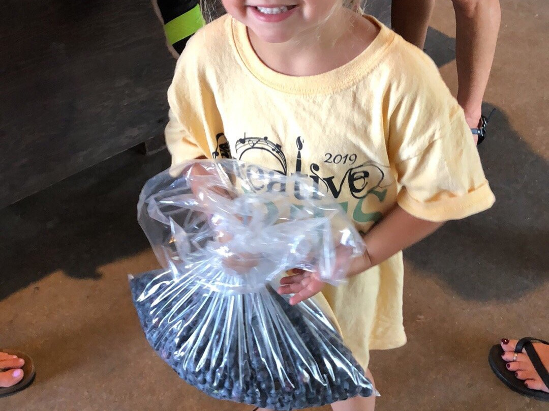 Blueberry Ranch-米沙沃卡必去景点