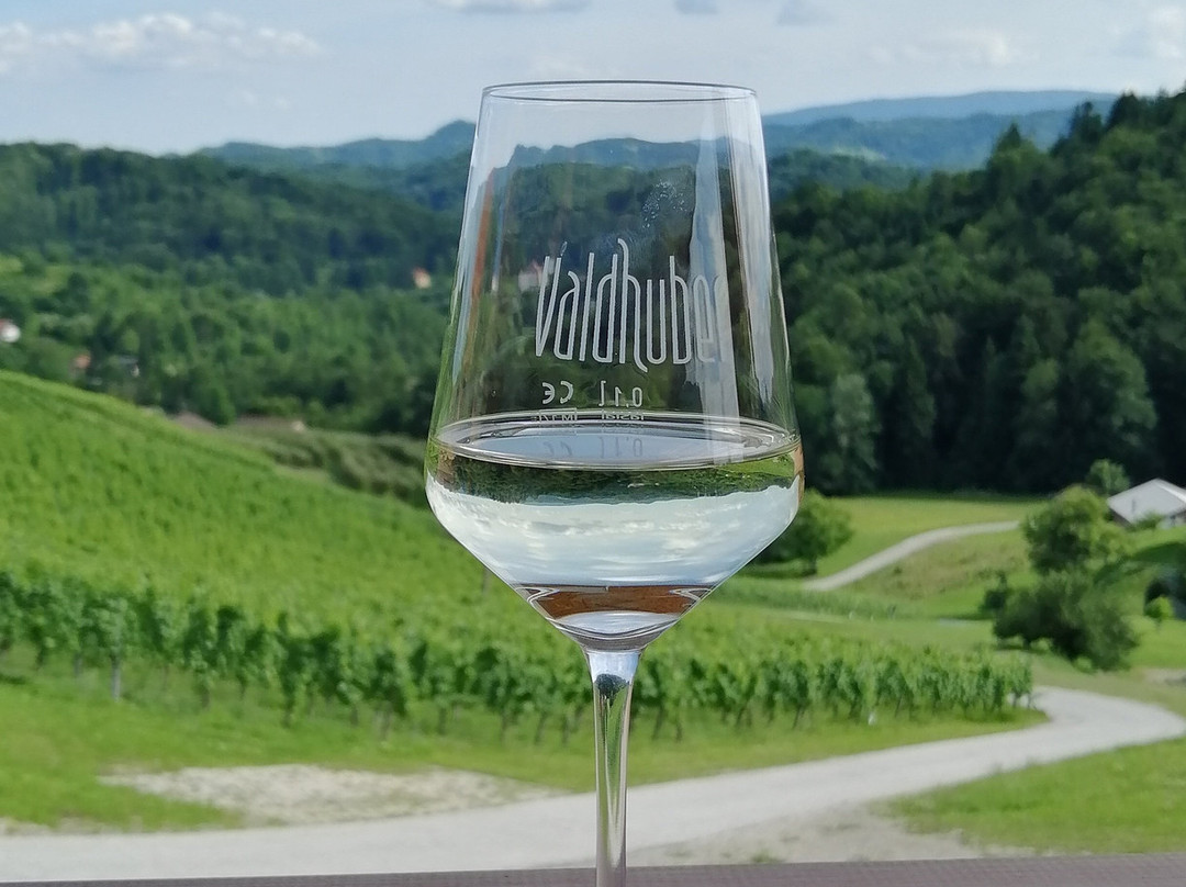 Vino Valdhuber-Zgornja Kungota必去景点