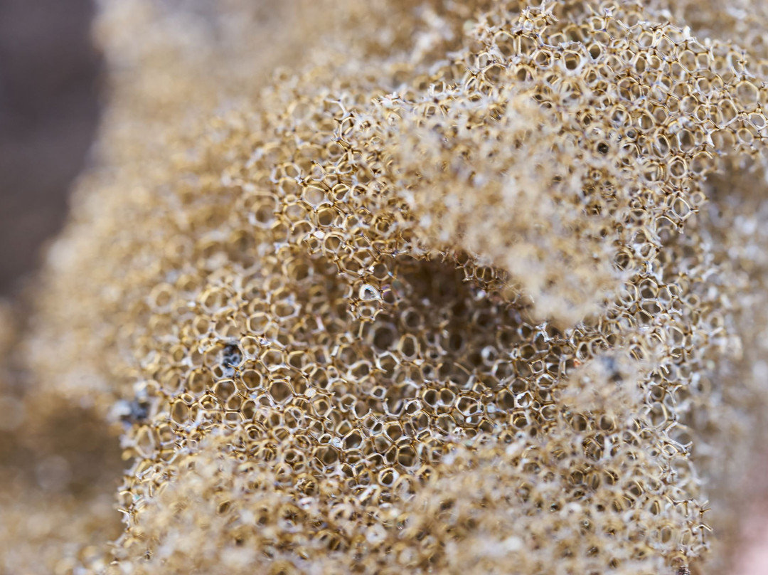 Kilauea EcoGuides-火山必去景点