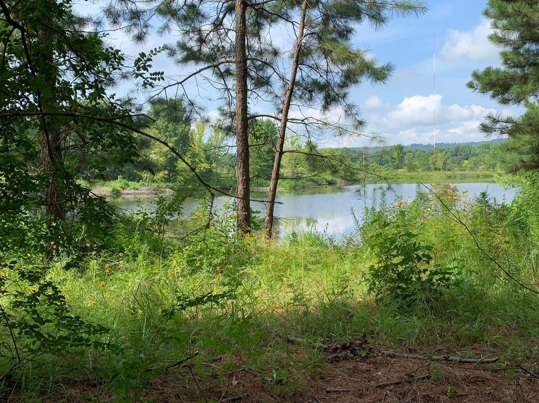 Bona Dea Trails & Sanctuary-Russellville必去景点