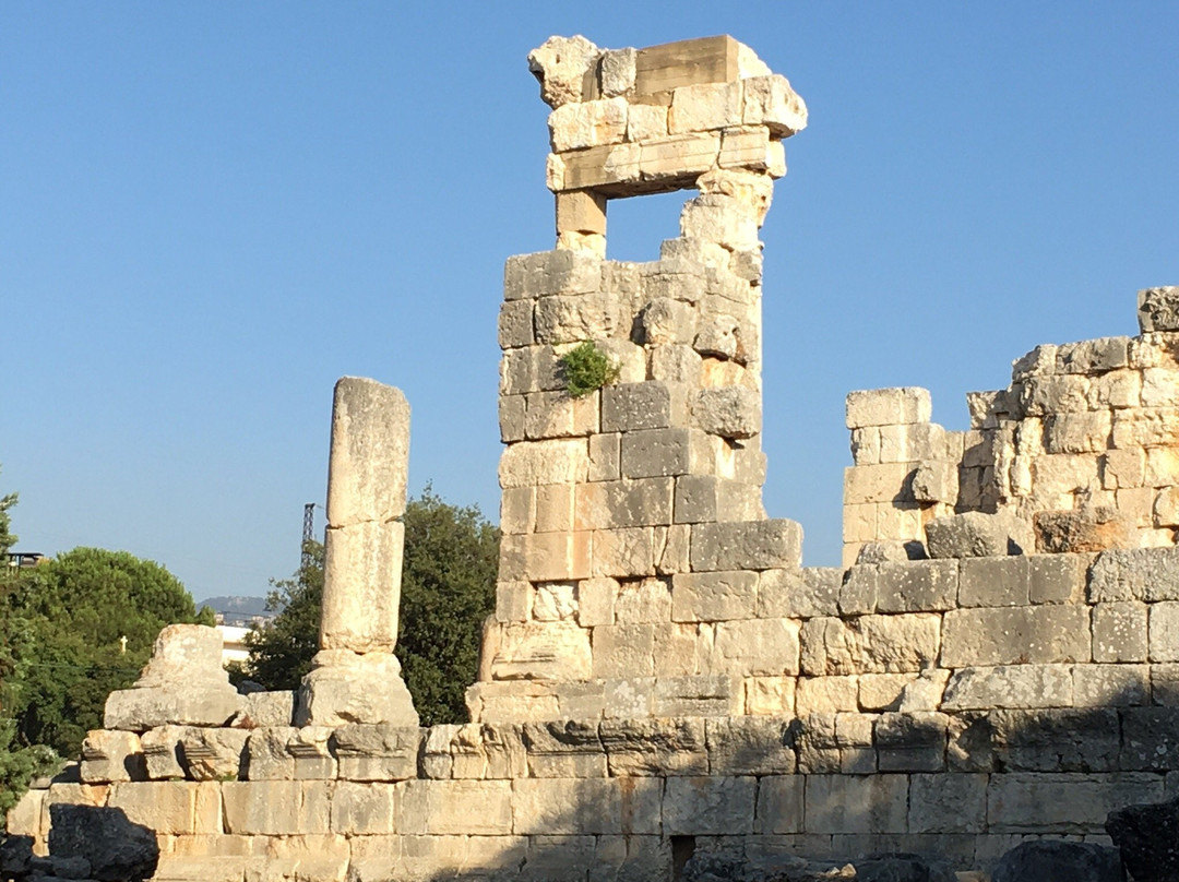 Qasr Naous-Amioun必去景点