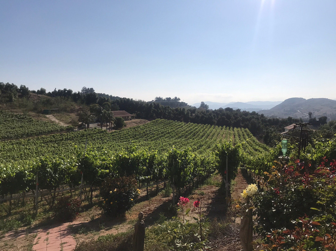 Altipiano Vineyard and Winery景点图片