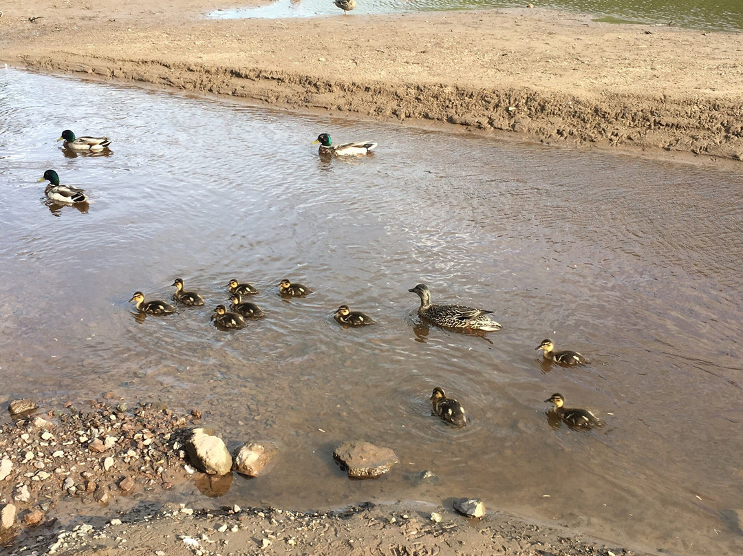 Centennial Park-蒙古顿必去景点