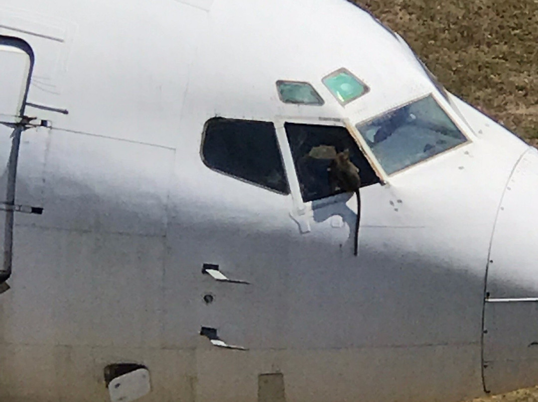 Abandoned Plane-Kutuh必去景点