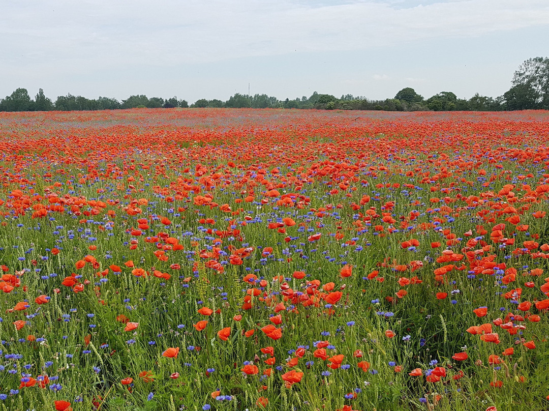 蒂哈根奥斯特酒店主图