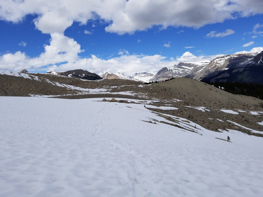 Iceline Trail景点图片