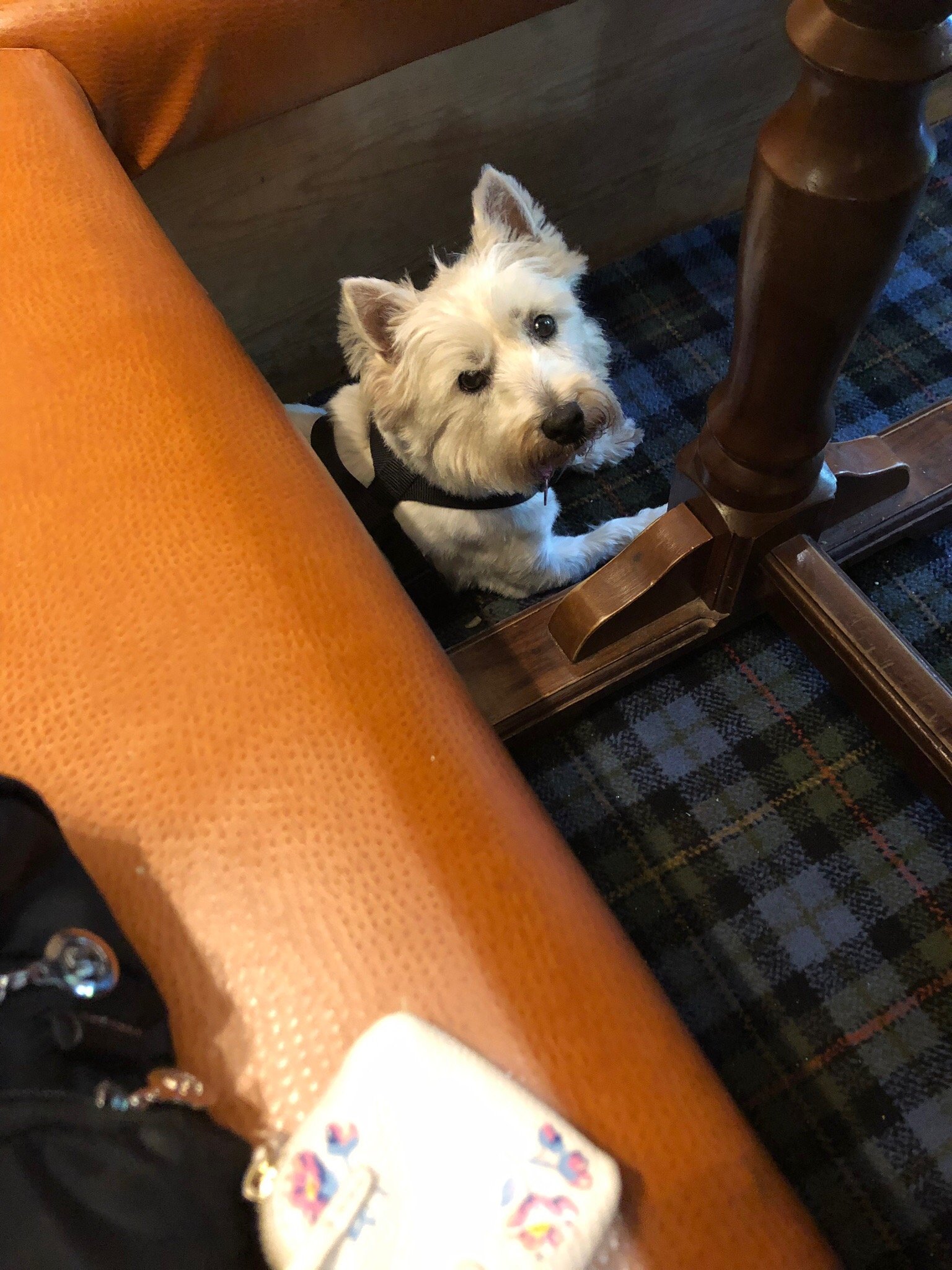 Sutherland Inn Hotel-官方