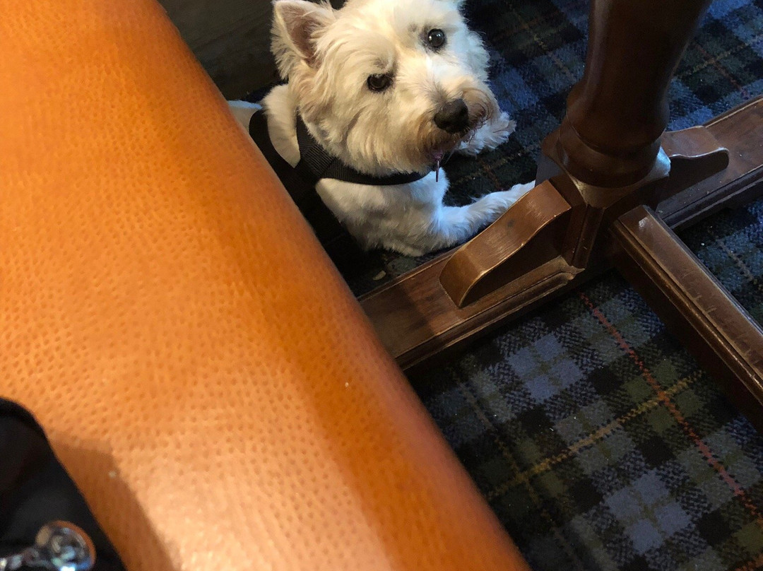 Sutherland Inn Hotel主图