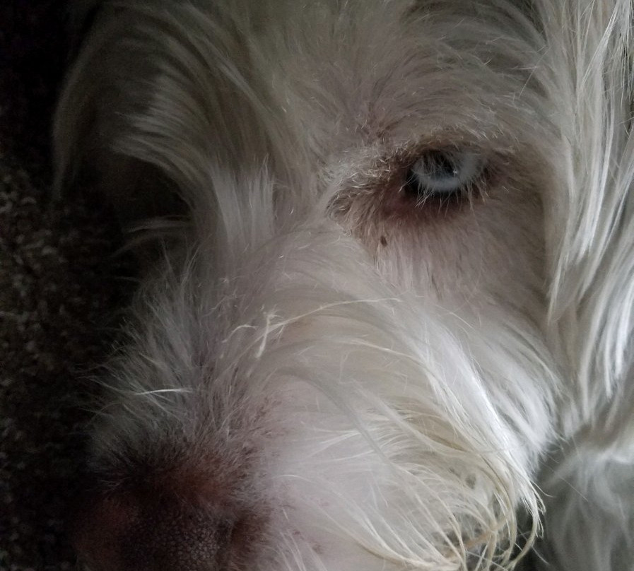 Triangle Motel主图