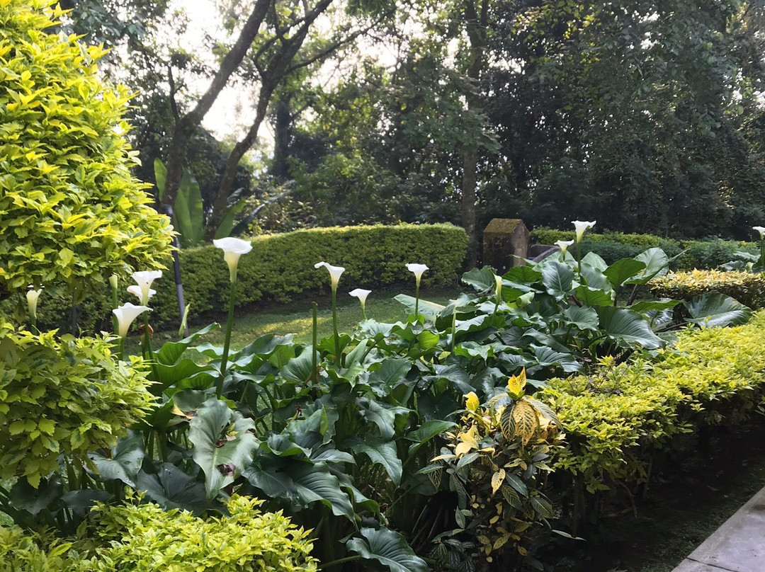 Gisakura Guest House主图