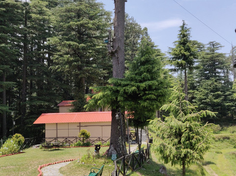 Aamod at Dalhousie主图