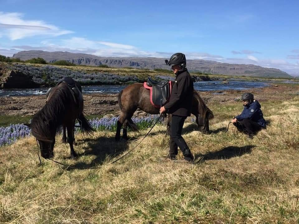 America 2 Iceland景点图片