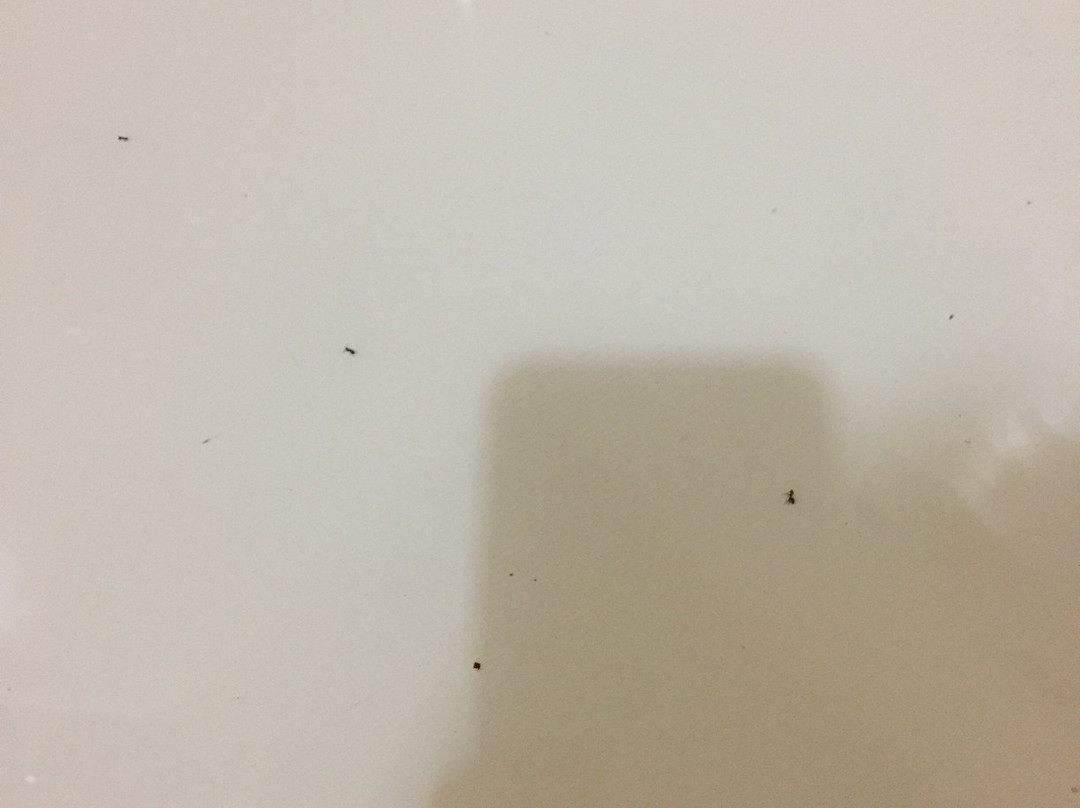 Baymont by Wyndham Corydon主图