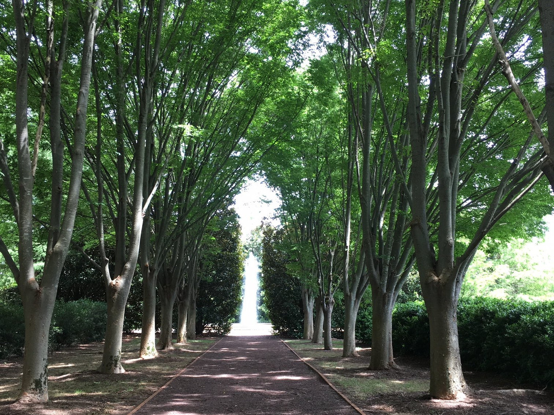 Milliken Arboretum景点图片