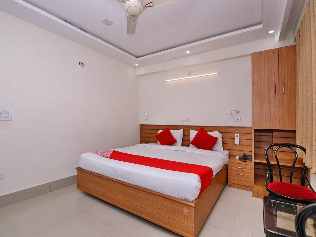 The Forest View主图